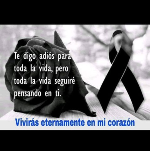 Meet your Posher, Wilber - Picture 1 of 1